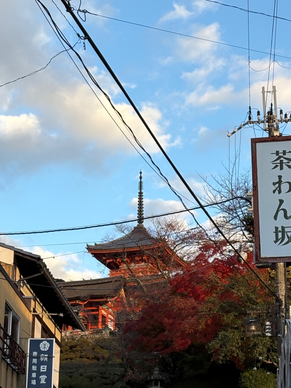 久しぶりの清水寺へ