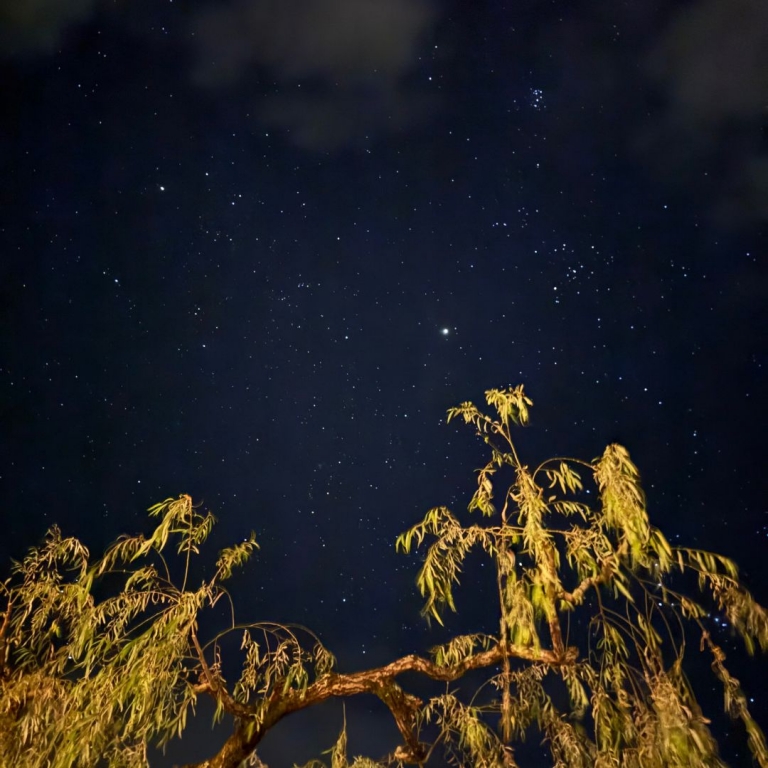 満天の星空