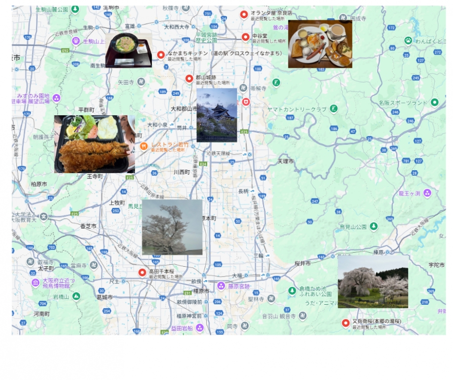 今回の総移動距離