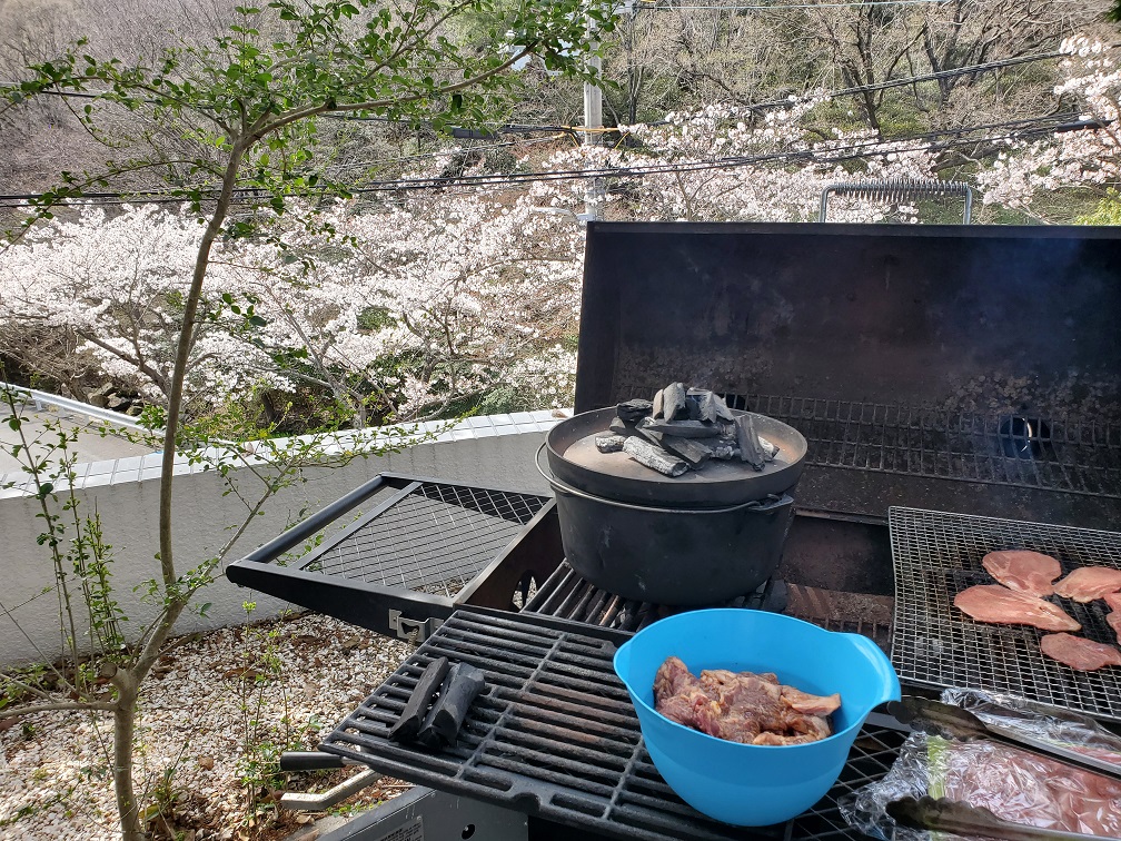 西宮某所の桜の名所でBBQ