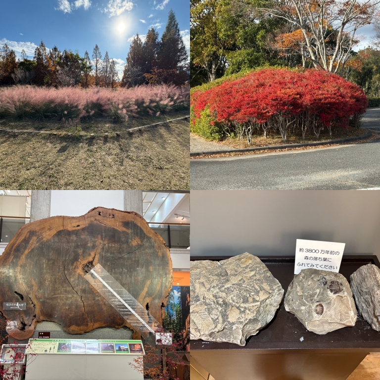 いろんな展示もいっぱい いろんな展示もいっぱい