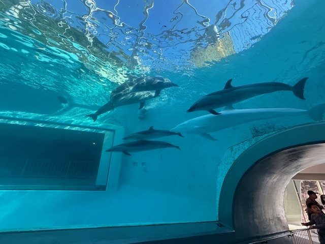 年末年始はジンオート！和歌山旅と海鮮を求めて★