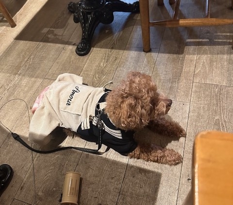 運動不足解消にまた滝見てきました！