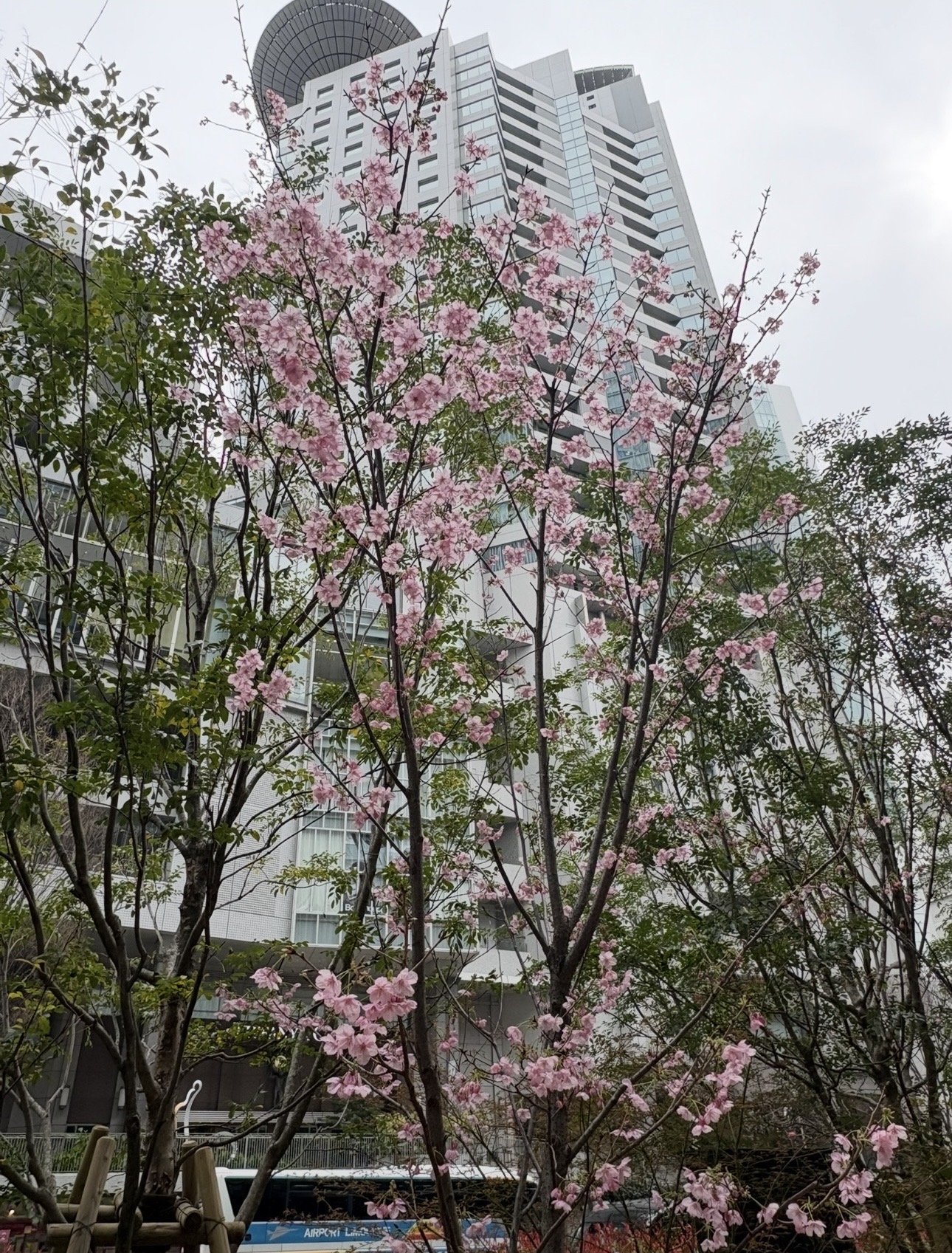 3月は旅立ちの季節!